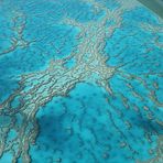 Great Barrier Reef 2