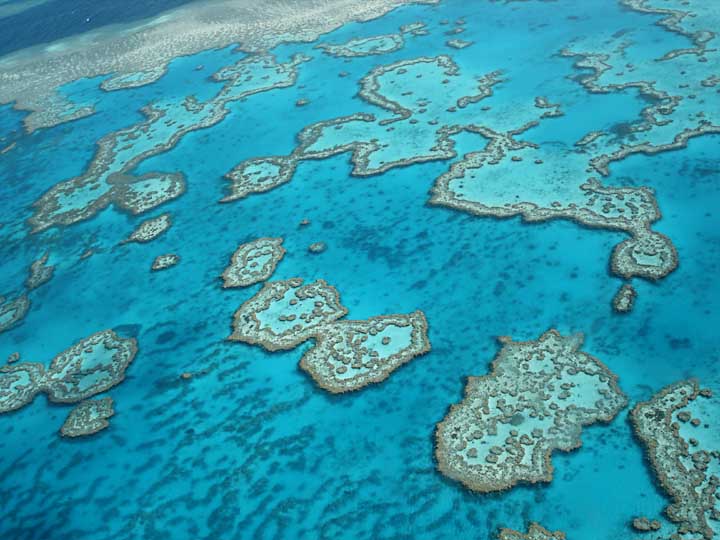 Great Barrier Reef 3