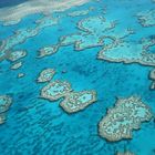 Great Barrier Reef 3