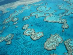 Great Barrier Reef 3