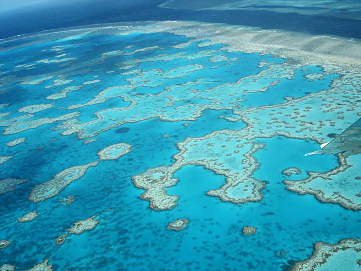 Great Barrier Reef 4