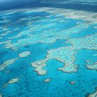 Great Barrier Reef 4