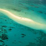 Great barrier reef