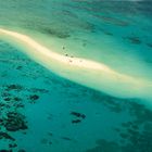 Great barrier reef