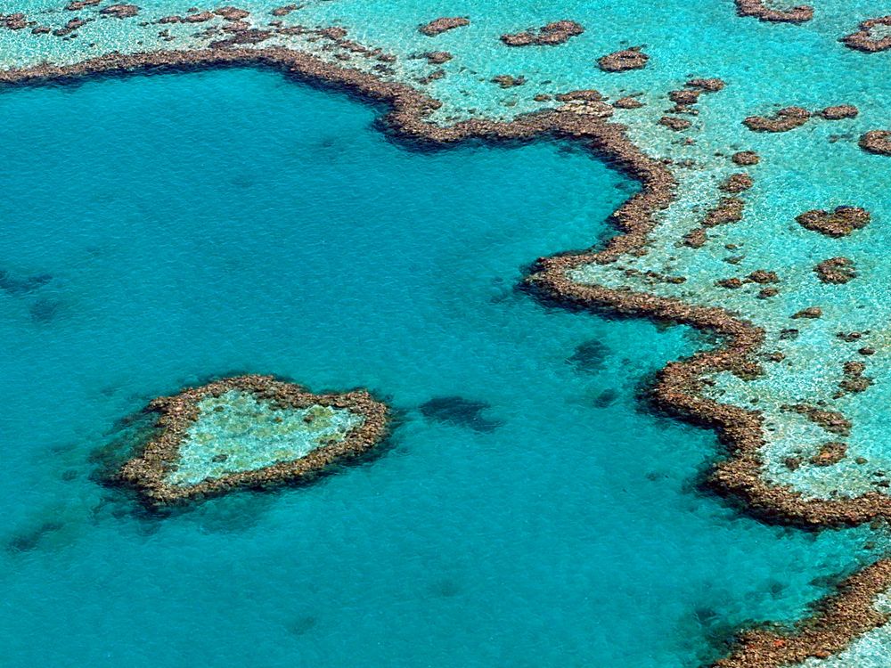 Great Barrier Reef von ElenaR. 