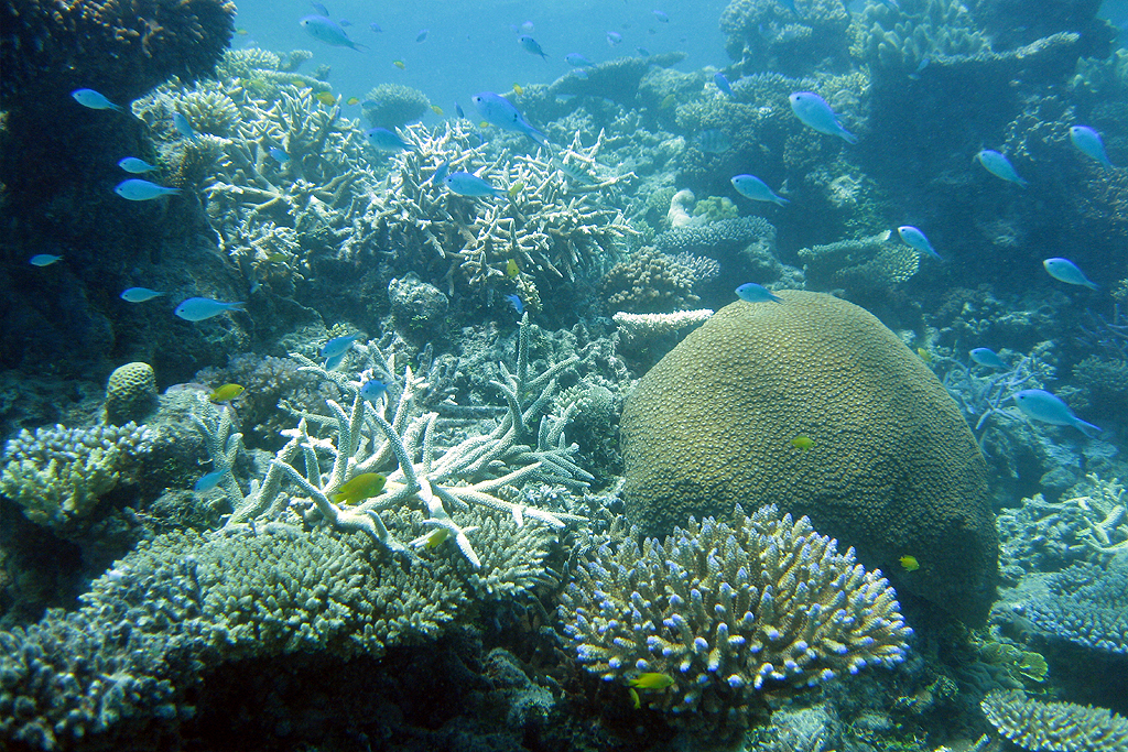 Great Barrier Reef