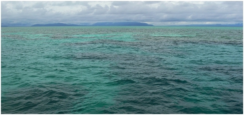 Great Barrier Reef (I)