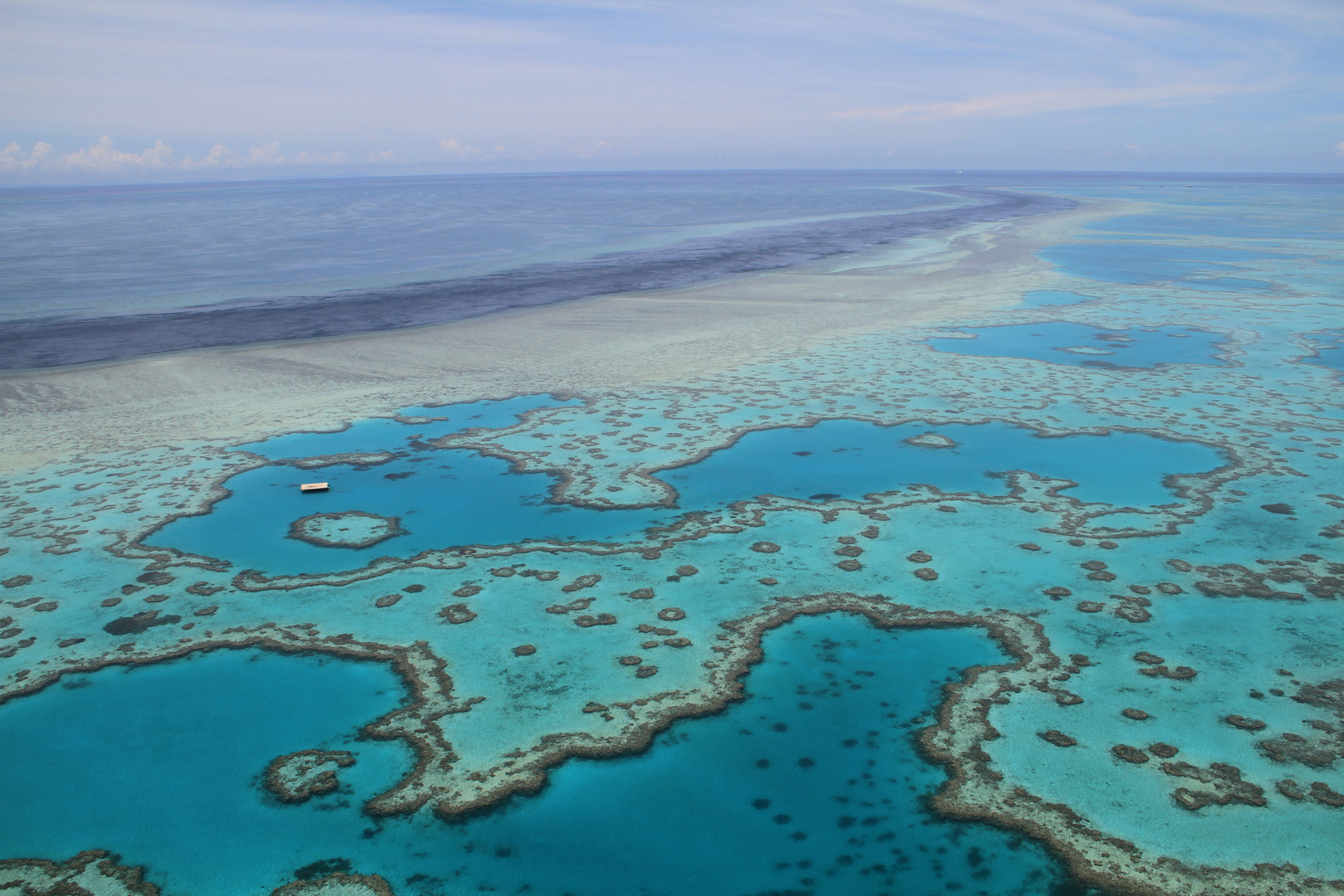 Great Barrier Reef (IMG_0706)