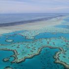 Great Barrier Reef (IMG_0706)