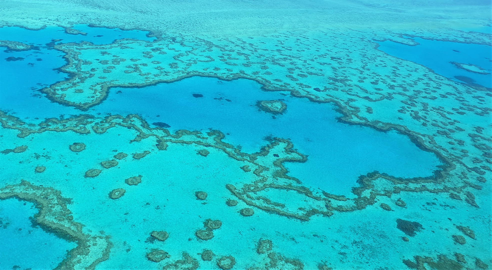 Great Barriere Reef