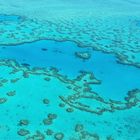 Great Barriere Reef