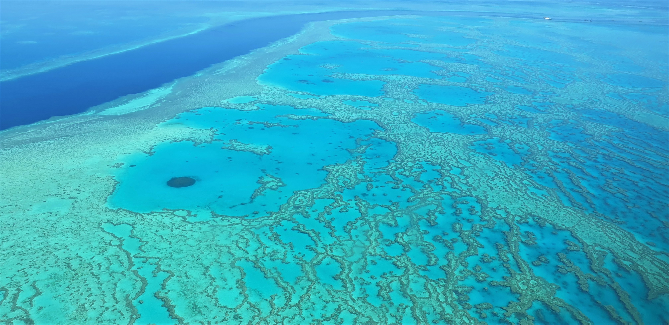 Great Barriere Reef