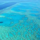 Great Barriere Reef