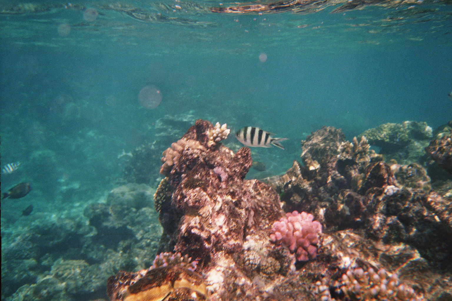 Great Barrierreef 2