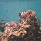 Great Barrierreef 3