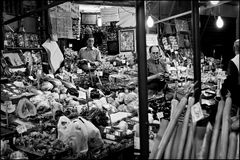 Great exhibition of fruit and vegetables 