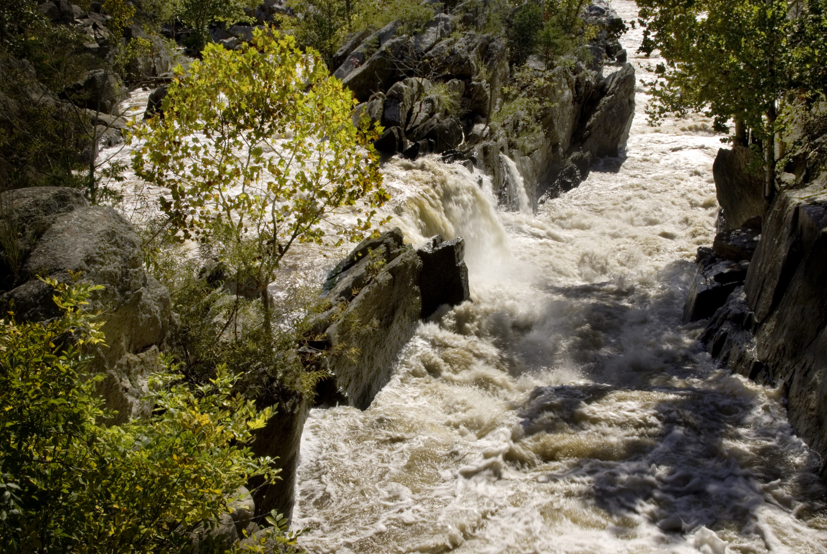 Great Falls Potomac River