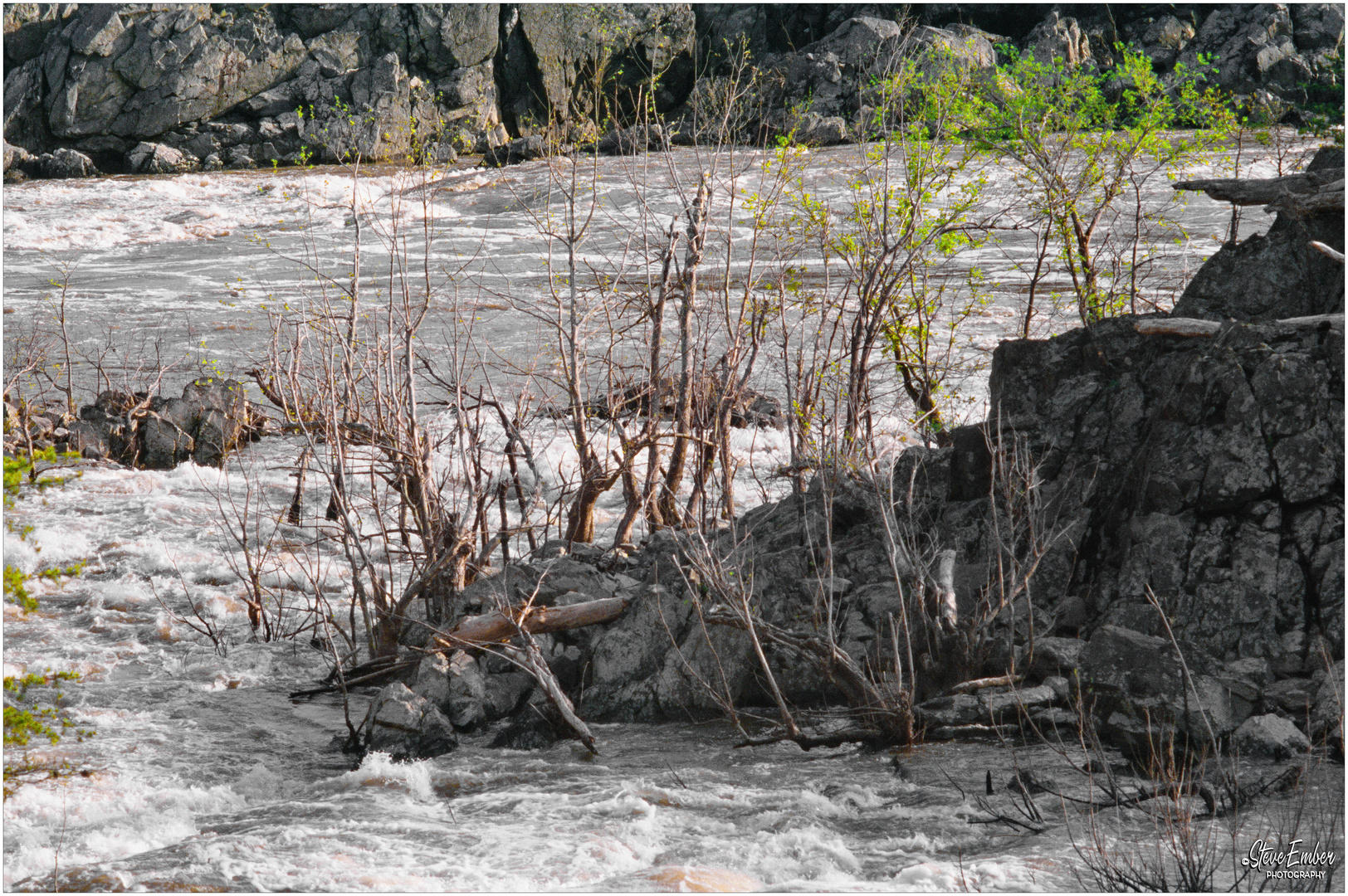 Great Falls Rapids, Early Spring