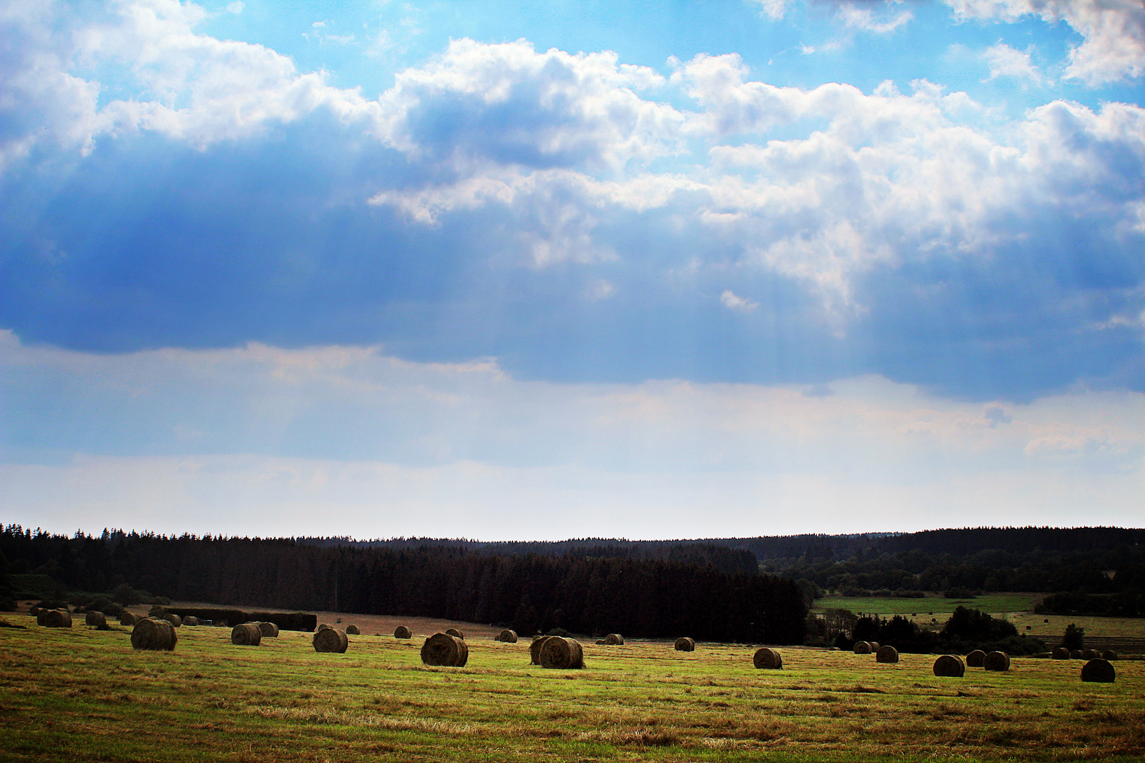 Great Fields