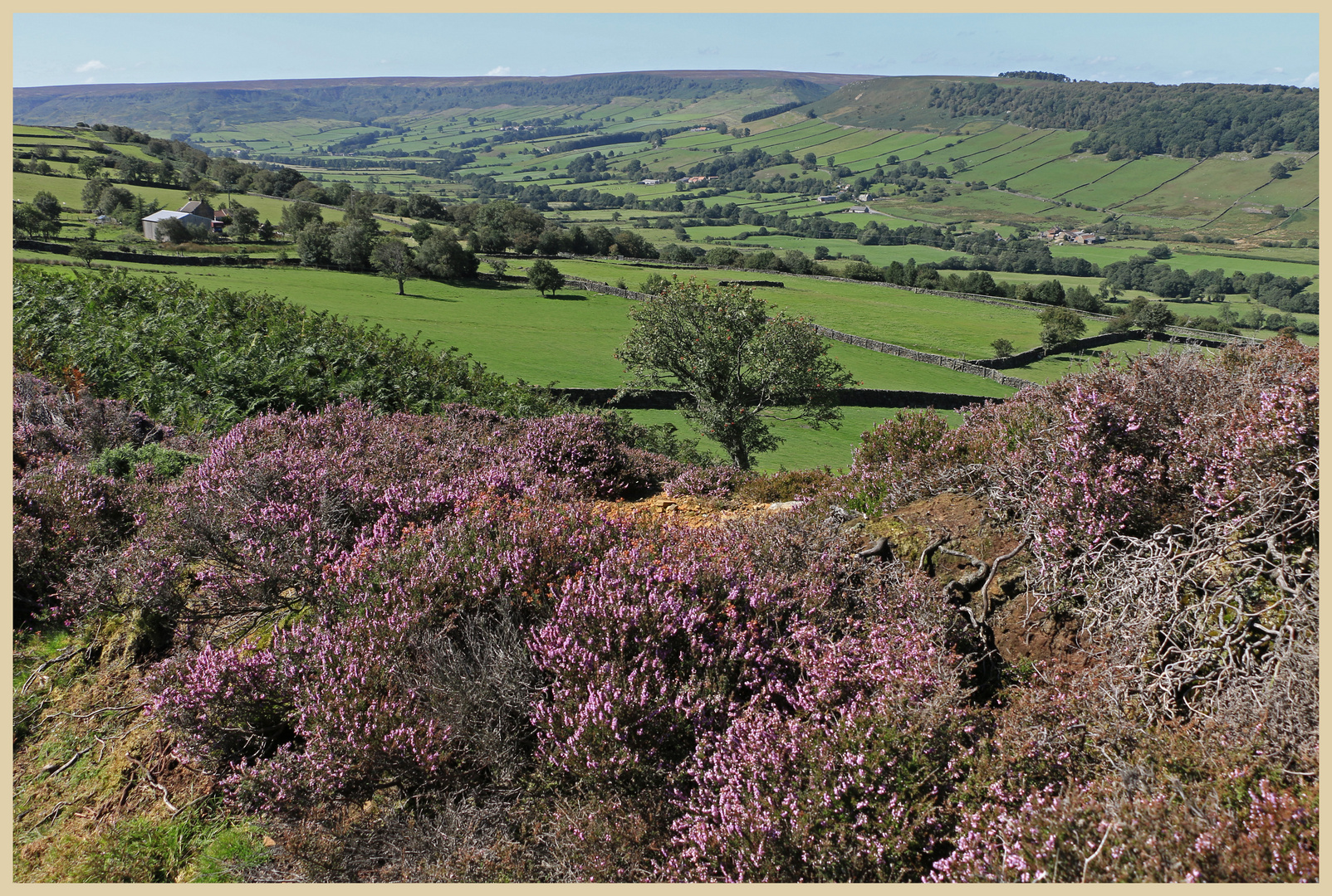 Great Fryup Dale