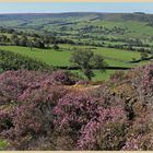 Great Fryup Dale