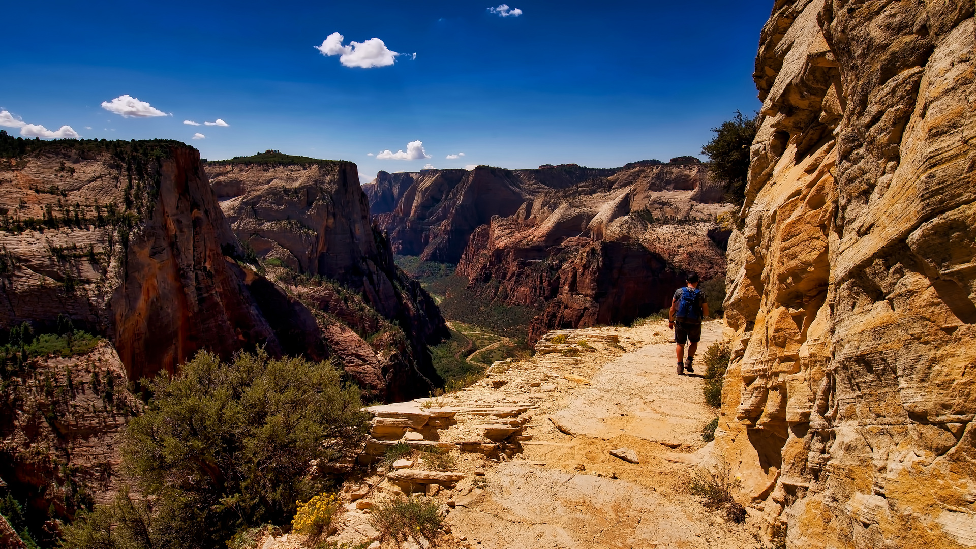 Great hiking trail