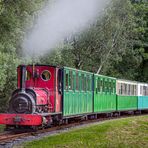 Great Little Train of Wales