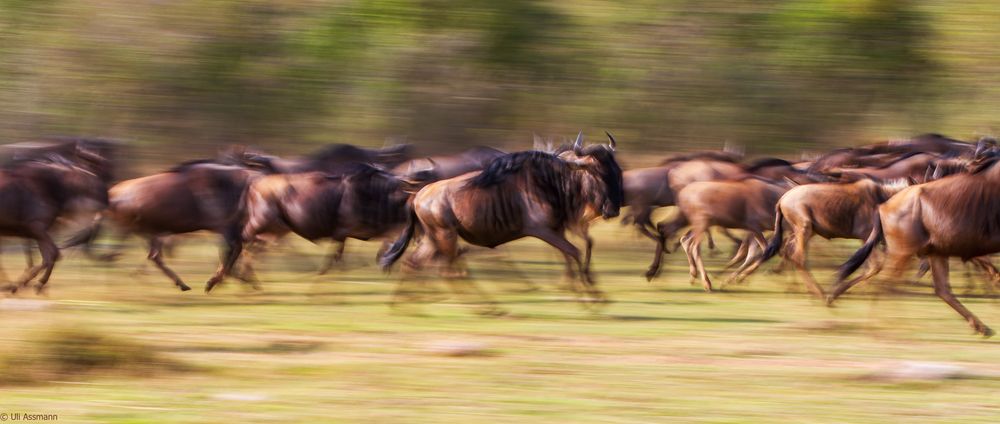 Great Migration