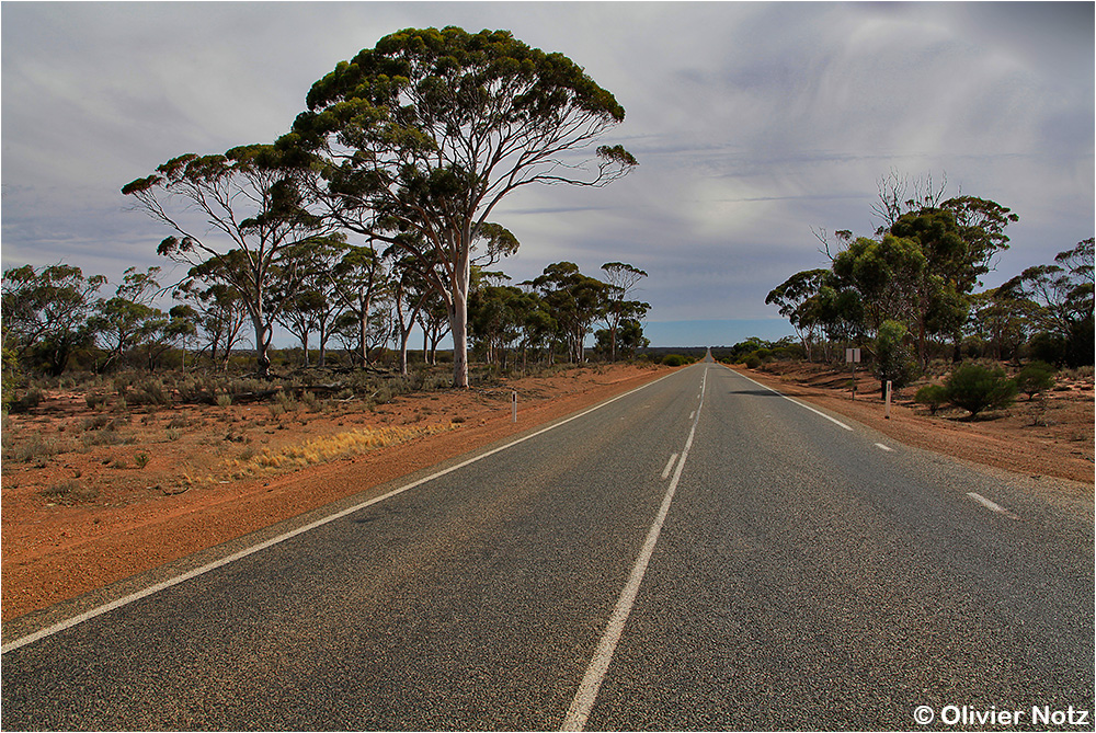 Great Northern Hwy (95)