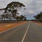 Great Northern Hwy (95)