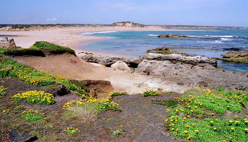 Great Ocean Road (5)