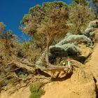 Great Ocean Road - Loch Ard Gorge 2