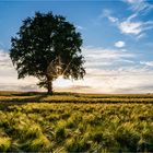 … Great Plains in norddeutscher Sparfassung …