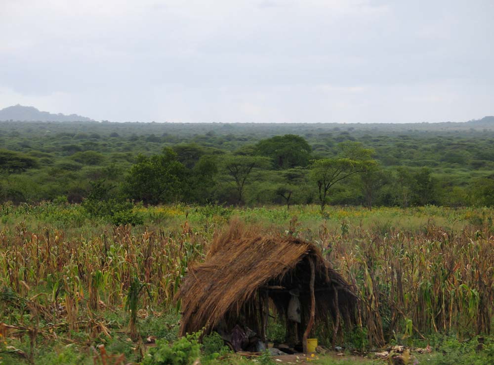 Great Rift Valley