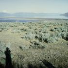 Great Salt Lake, Eisenbahndamm Lucin Cutoff (2), Union Pacific, UT, USA