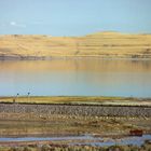 Great Salt Lake, Eisenbahndamm Lucin Cutoff, Union Pacific, UT, USA