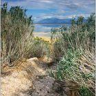 Great Salt Lake, USA 2010