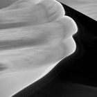 Great Sand Dunes