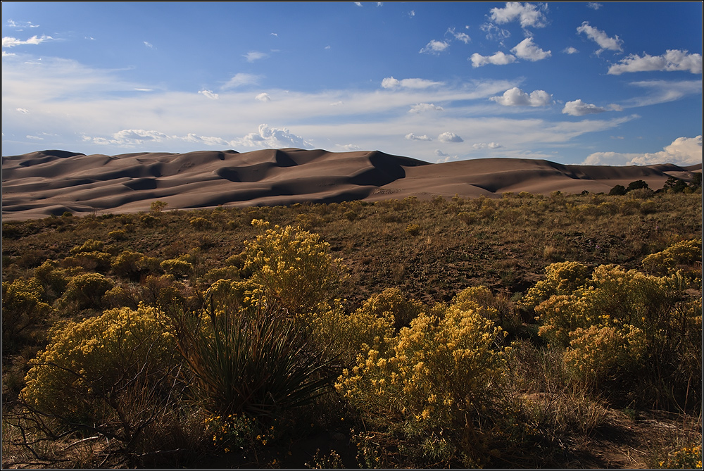 °great sand dunes°