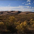 °great sand dunes°