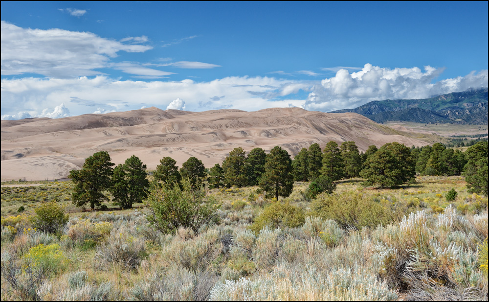 [ Great Sand Dunes ]