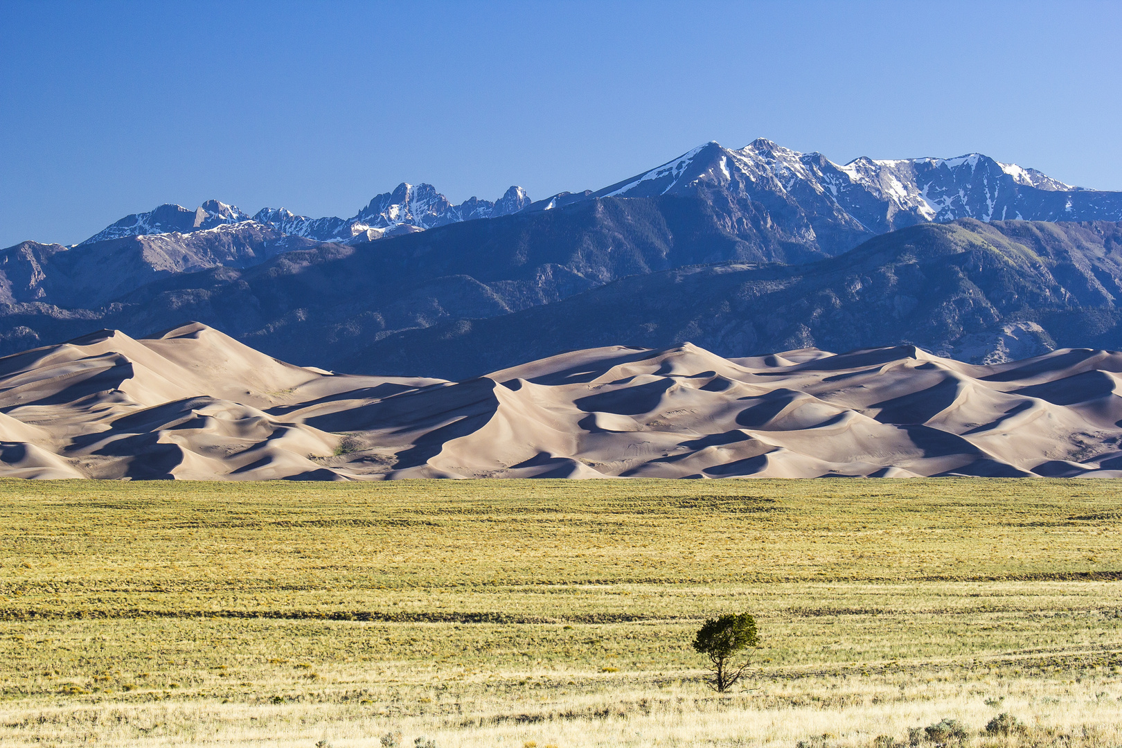 Great Sand Dunes II