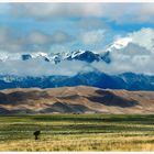 Great Sand Dunes im Frühling