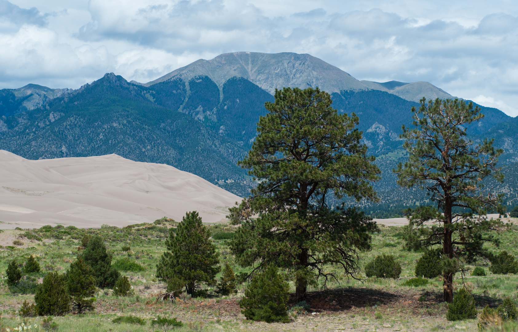 Great sand Dunes National Park