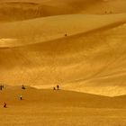 Great-Sand- Dunes NP