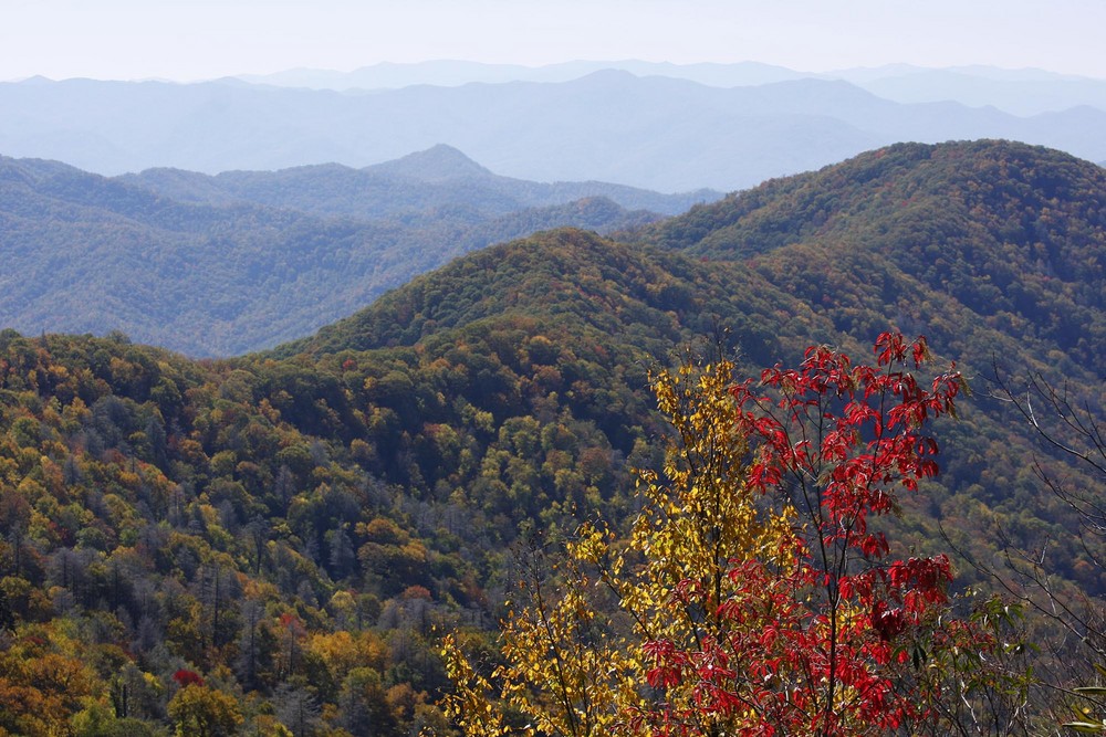 Great Smokey Mountains 1