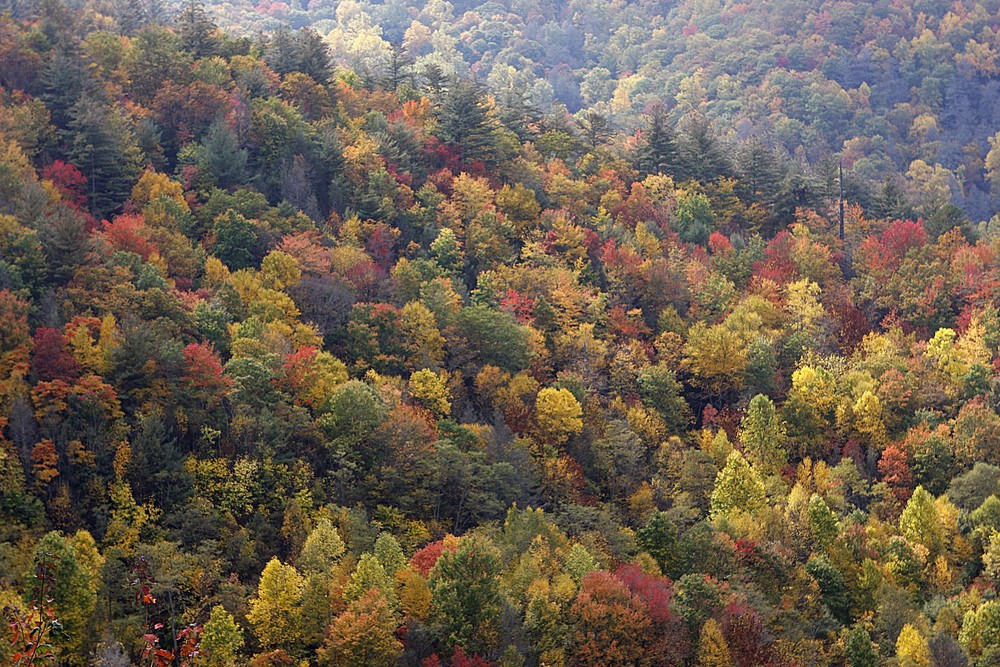 Great Smokey Mountains 2