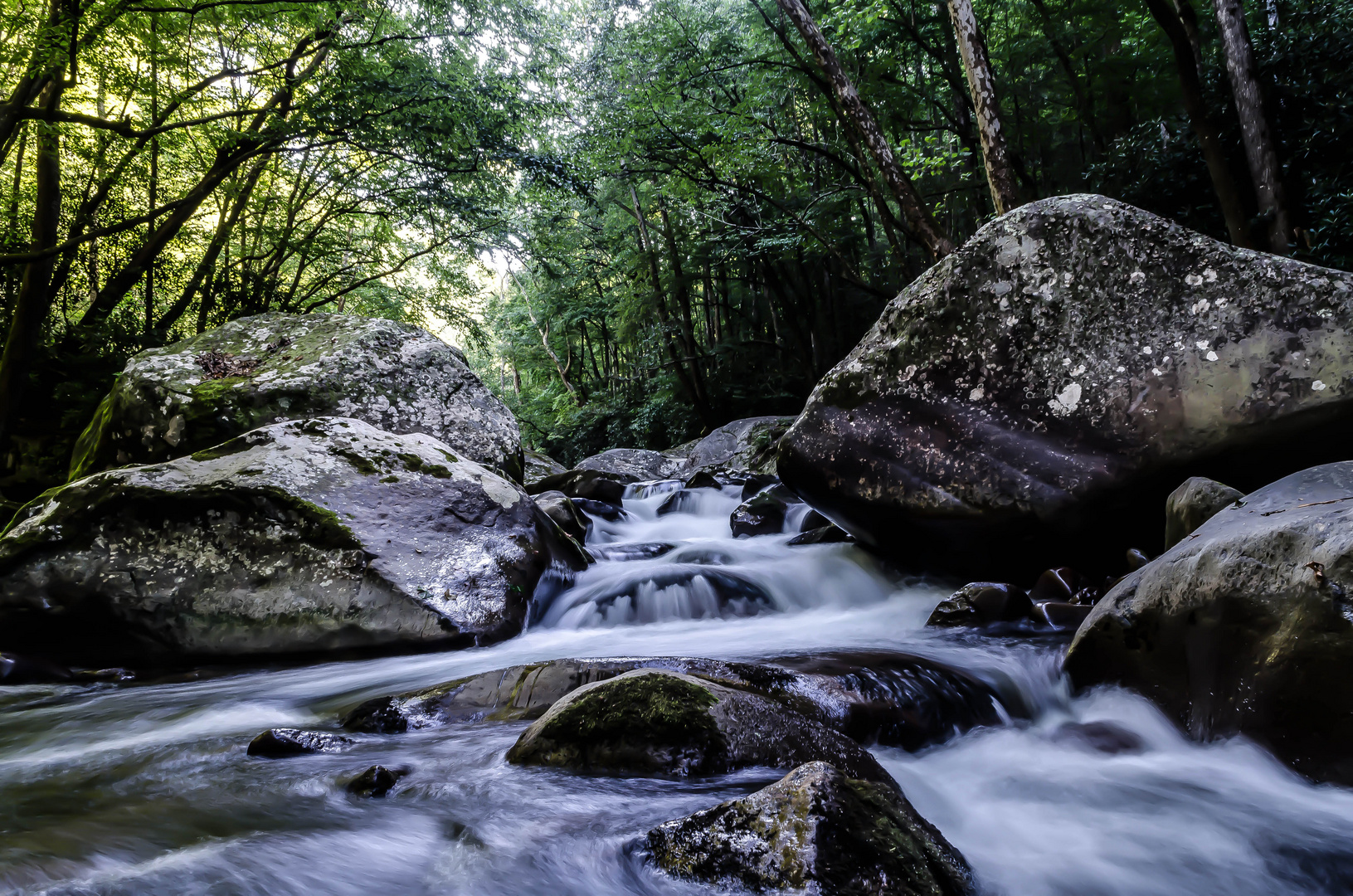 Great Smokie Mountains, Tennessee