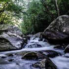 Great Smokie Mountains, Tennessee