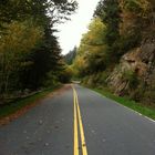 Great Smoky Mountain NP